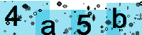 Capcha code