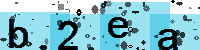 Capcha code