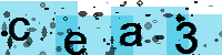 Capcha code
