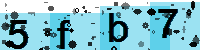 Capcha code