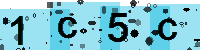 Capcha code