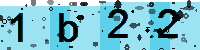 Capcha code