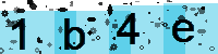 Capcha code
