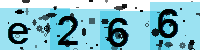 Capcha code