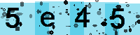 Capcha code