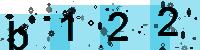 Capcha code