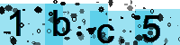 Capcha code