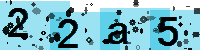 Capcha code