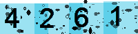 Capcha code