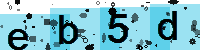 Capcha code