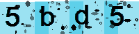 Capcha code