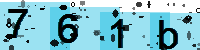 Capcha code