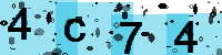 Capcha code
