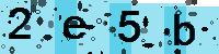 Capcha code