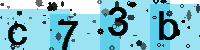 Capcha code