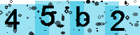 Capcha code