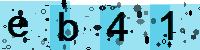 Capcha code