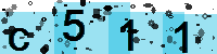 Capcha code
