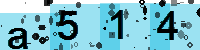 Capcha code