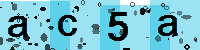 Capcha code