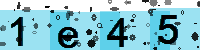 Capcha code