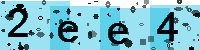 Capcha code