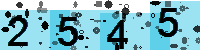 Capcha code