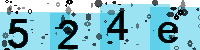 Capcha code