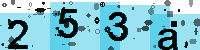 Capcha code