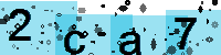 Capcha code
