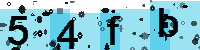 Capcha code