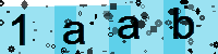 Capcha code