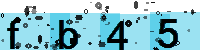 Capcha code