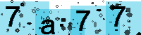 Capcha code