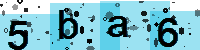Capcha code