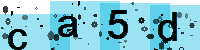 Capcha code