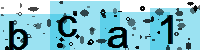 Capcha code