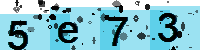 Capcha code