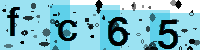 Capcha code