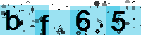 Capcha code