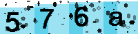 Capcha code