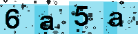 Capcha code