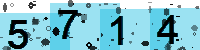Capcha code
