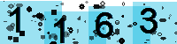 Capcha code