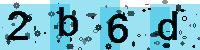 Capcha code