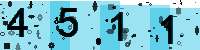 Capcha code