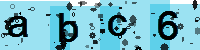 Capcha code