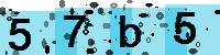 Capcha code