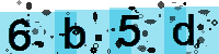 Capcha code
