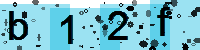 Capcha code